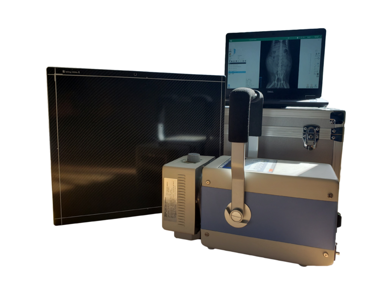 Equine Digital XRay